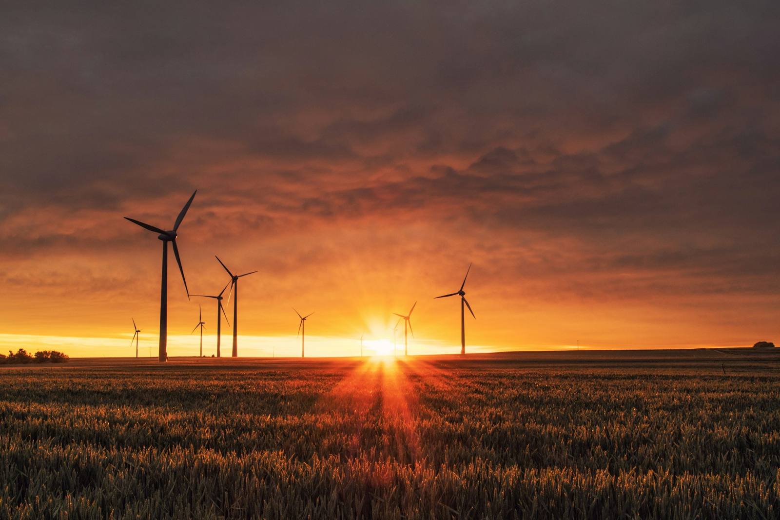 Aerogeneradores al atardecer sobre un campo