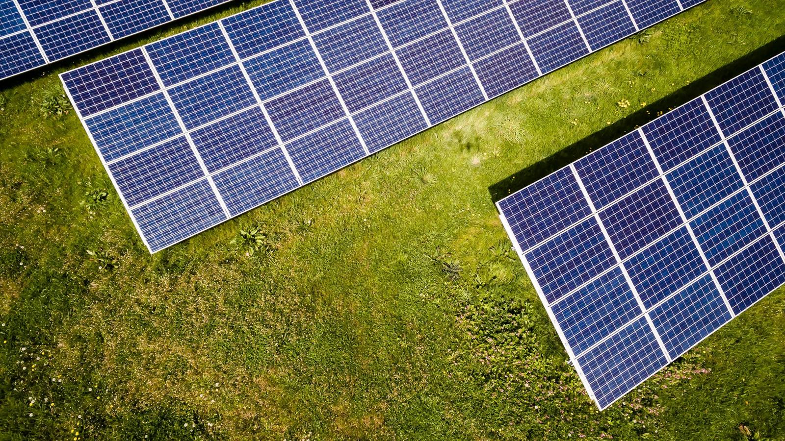 Detalle de módulos solares sobre hierba