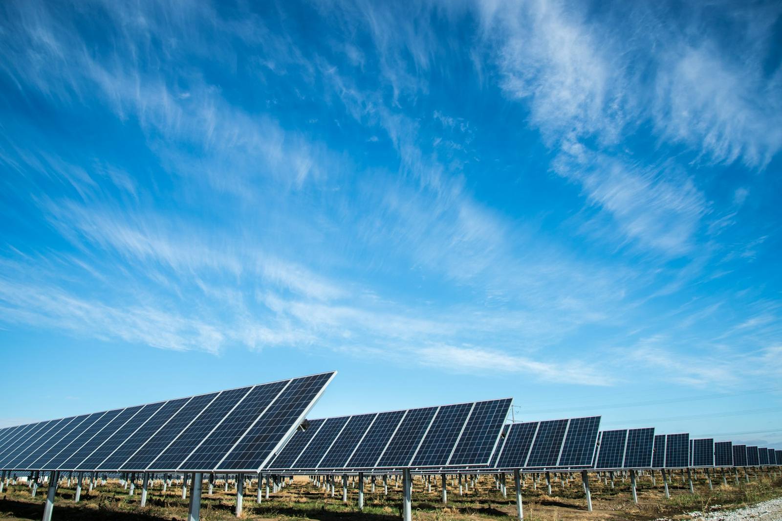 Seguidores solares bajo un cielo azul